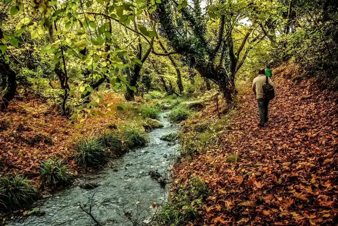 Activities around Stomio – Photo 12