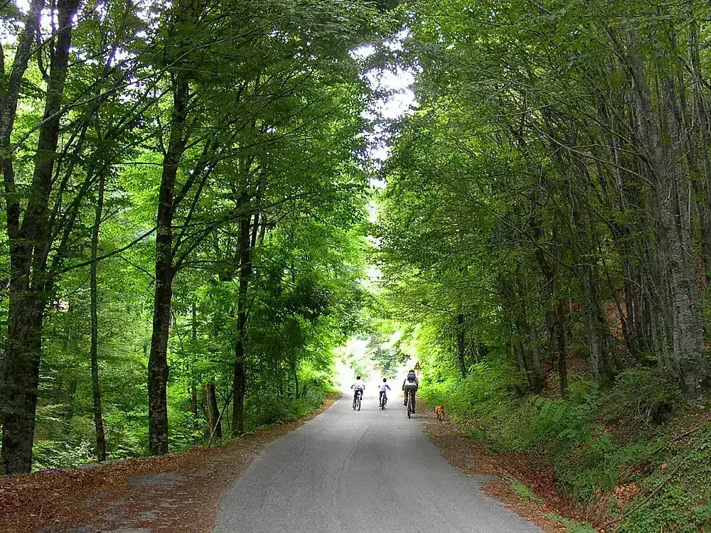 Activities around Stomio – Photo 22